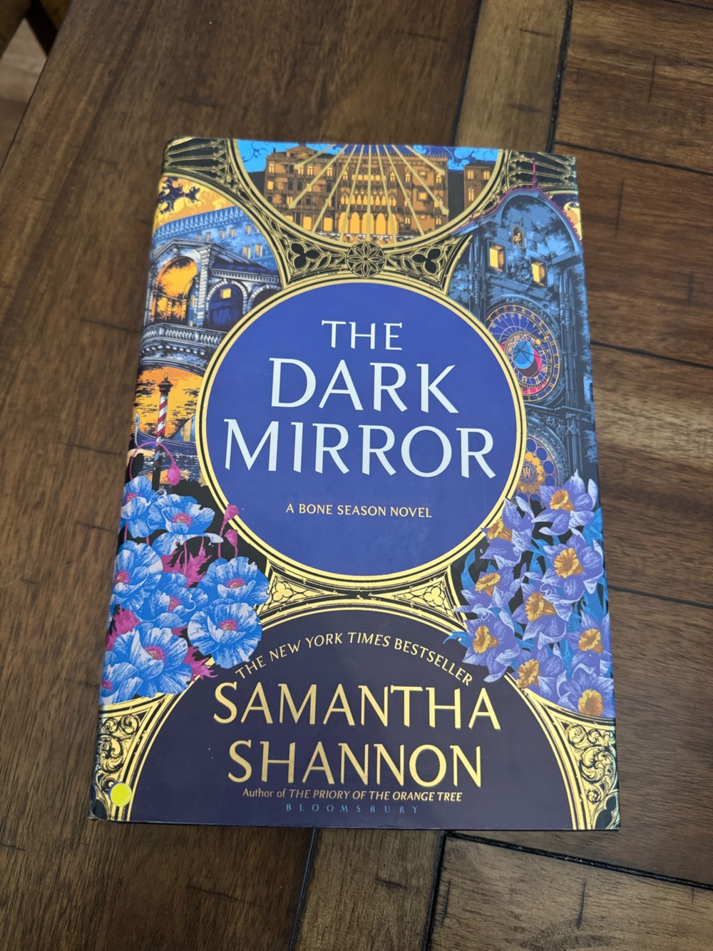 The Dark Mirror by Samantha Shannon - lHardcover